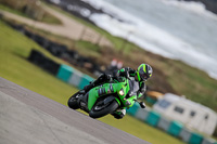 PJ-Motorsport-2019;anglesey-no-limits-trackday;anglesey-photographs;anglesey-trackday-photographs;enduro-digital-images;event-digital-images;eventdigitalimages;no-limits-trackdays;peter-wileman-photography;racing-digital-images;trac-mon;trackday-digital-images;trackday-photos;ty-croes